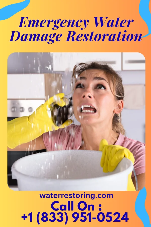 Emergency Water Damage Restoration in Stevenson, AL
